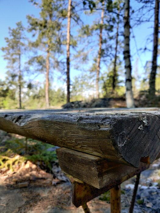 Gammal träbänk i fokus, suddig skogsbakgrund, lugnt och fridfullt naturmiljö, dagsljus.