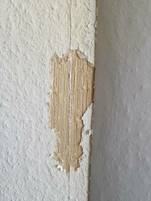 Vit vägg med flagande färg, blottar underliggande trästruktur, tecken på slitage eller skada.