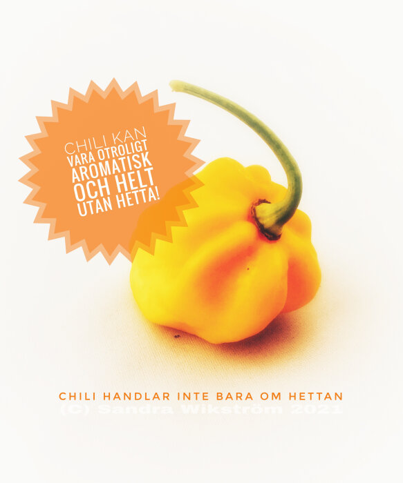 Gul chili med text som hyllar dess aromatiska egenskaper bortom hetta, mot vit bakgrund. © Sandra Wikström 2021.