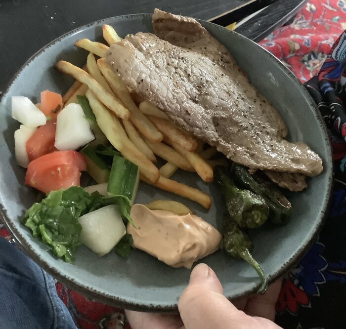 Tallrik med biff, pommes frites, grönsaker, två såser, över knä på textilmönstrad yta.
