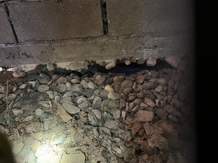 Stenar och skräp vid en betongvägg, möjligen i en grund eller krypgrund under ett hus.