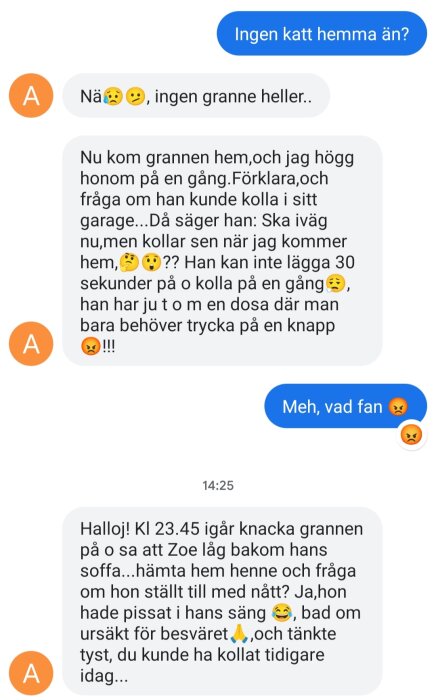 En skärmdump av en chattkonversation där någon diskuterar en försvunnen katt och grannens reaktion.