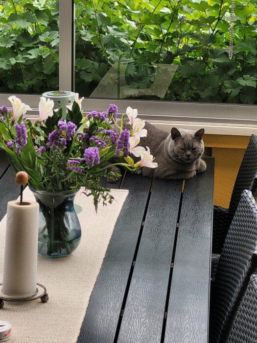 Grå katt vilar på balkongbord bredvid blomvas och pappersrullshållare, gröna växter i bakgrunden.