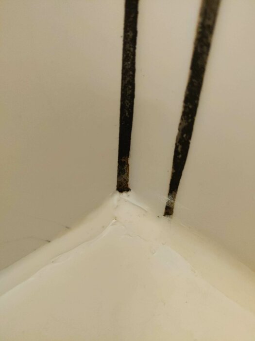 Närbild på mögel på kakelfog i ett hörn, möjlig fuktproblem indikeras.