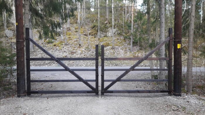 Stängd trägrind, skogsväg, barrträd, gul skylt, ljus grusväg, dagsljus, förhindrar åtkomst.