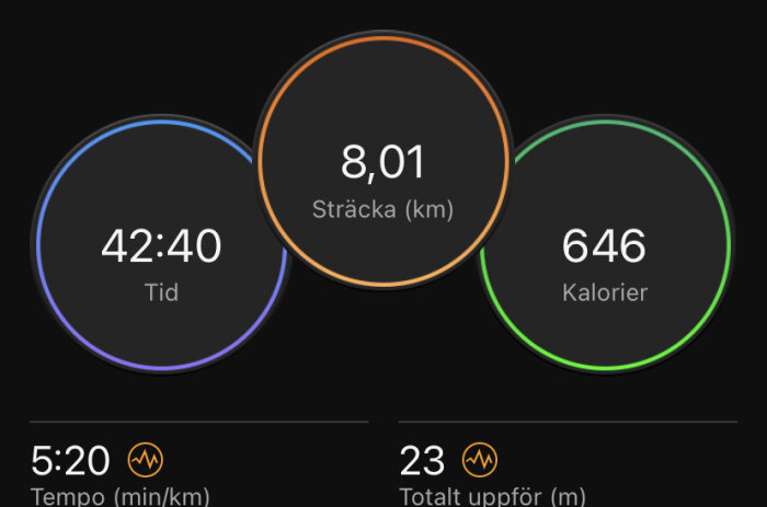 Aktivitetsdata: tid 42:40, sträcka 8,01 km, 646 kalorier, tempo 5:20 min/km, 23 m uppför.