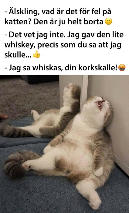 Meme: katt ligger avslappnat på rygg, text skämtar om missförstånd med whiskas/whiskey. Humoristisk.