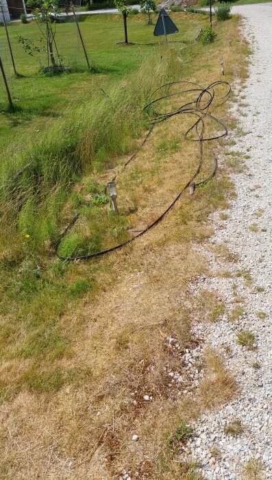 En lång, utdragen svart slang på marken längs en grusväg bredvid gräsbevuxen mark.