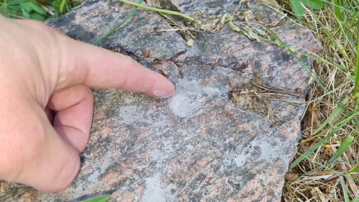 Person pekar på urgröpning i sten ute i grön natur.