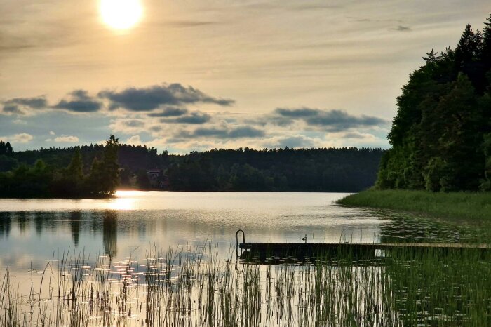 Sjö vid skymning, brygga, reflekterande solnedgång, träd, moln, lugn natur, stilla vatten, avkopplande vy.