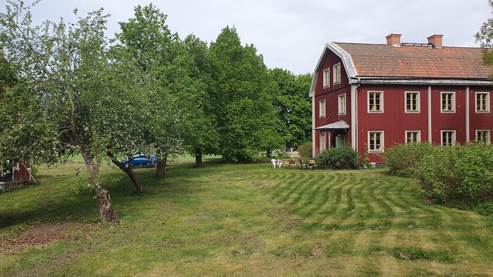 Röd trävilla, grönskande trädgård, blommande fruktträd, klippt gräsmatta, stolar utomhus, blå bil, sommardag.