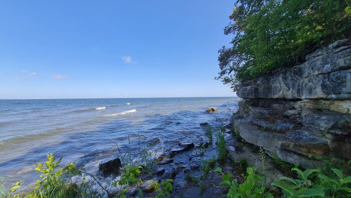 Klippig strand, vågor, blå himmel, gröna träd, klart vatten, naturlig skönhet, lugn atmosfär.