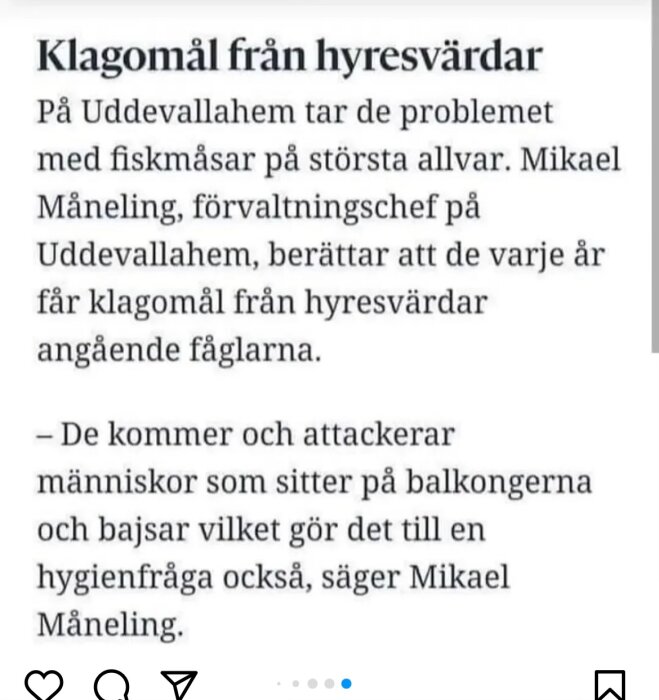 Artikel om klagomål från hyresvärdar gällande fiskmåsar som attackerar och bajsar på balkonger. Hygienfråga nämns.