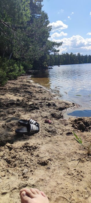 Solig sjöstrand, sandaler på marken, gröna träd, molnig himmel, personens fot i förgrunden.