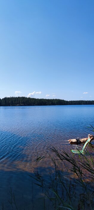 En person solar på en solstol vid en skogsbeklädd sjö under en klarblå himmel.