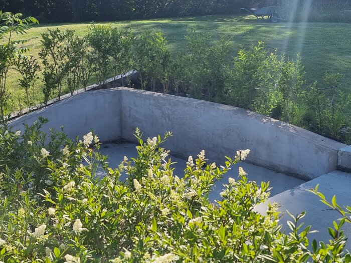 Tom poolgrund, gröna buskar, soligt, gräsmatta i bakgrunden, skottkärra till höger.