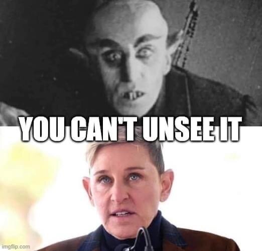 Meme med två bilder: Över text "YOU CAN'T UNSEE IT", likhet mellan personerna antyds, överdriven min i översta bilden.