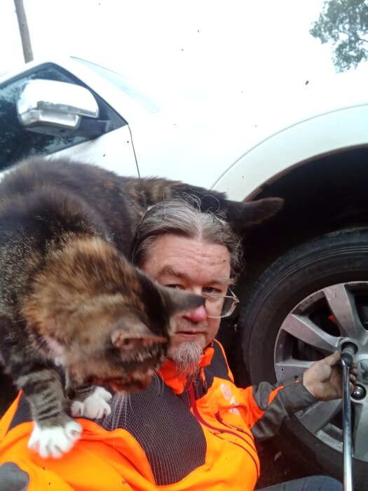 Man i orange väst byter däck, katt i förgrunden suddig, bil i bakgrunden.