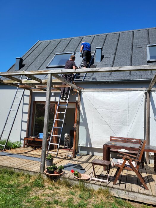 Två personer på en ställning arbetar på ett hus med solpaneler, hund på däcket.