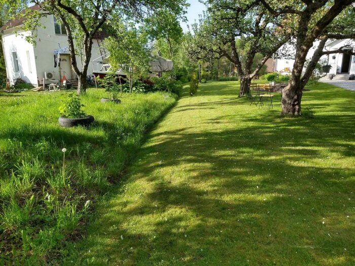 Solig trädgård med grönt gräs, träd, däck, stuga, och utemöbler. Fridfullt och naturskönt.