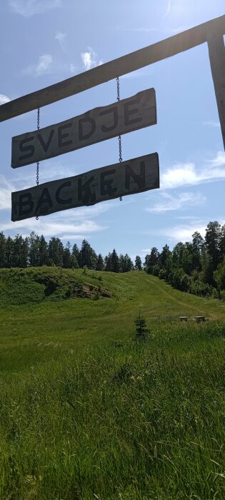 Trähängskylt med texten "Svedjebacken", grön skogig backe, blå himmel, soligt, sommardag, två bänkar vid foten av backen.