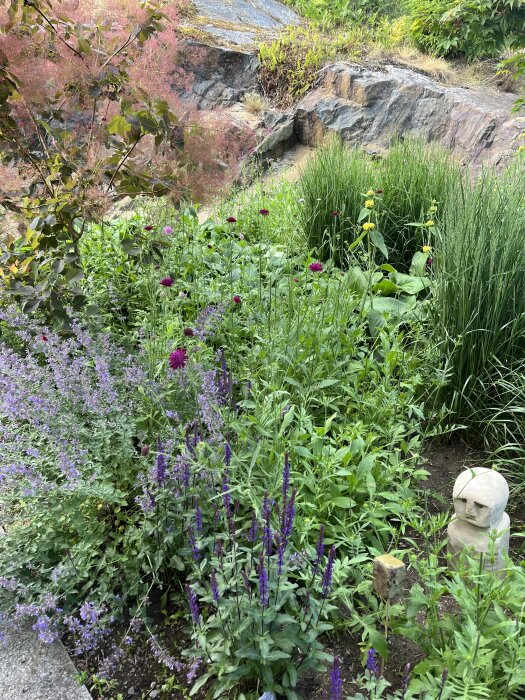 Ojämn trädgård med blandade växter, stenformationer, lila blommor, skulptur av stenhuvud, frodigt grönt.