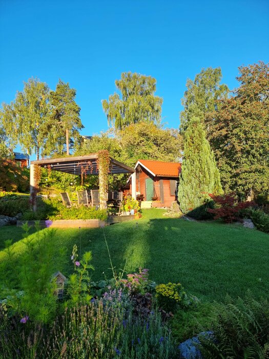 Lummig trädgård, grönt gräs, blomrabatter, trähus, pergola, soligt, klarblå himmel, fridfullt.