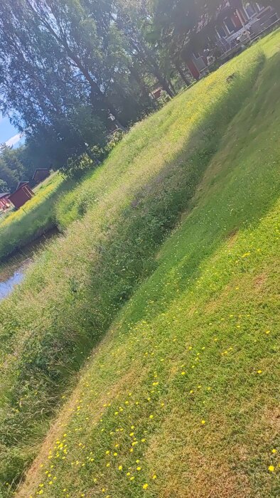 Soligt grönområde med blommor, trän och en röd stuga i bakgrunden. Bilden är lutad.