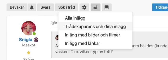 Skärmdump av internetforumprofil, filtren för sökning i tråd, flikar och knappar.