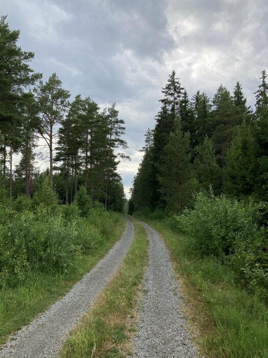 Grusväg genom skog, molnig himmel, gröna träd, natur, sommar eller vår, inga människor, ledig väg.