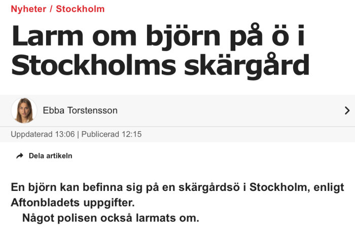 Nyhetsartikel om björniakttagelse i Stockholms skärgård; Ebba Torstensson rapporterar.