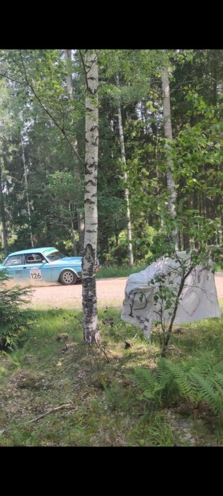 Skogsmiljö med björkträd, vit flagga, grusväg och en blå veteranbil med nummer 126.