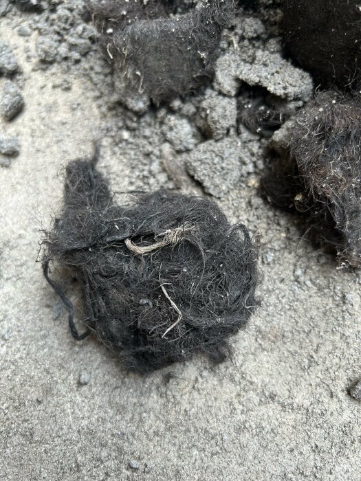 En närbild av små, trassliga, svarta fibrer, möjligen hår eller textilrester, mot en grov, grå yta.