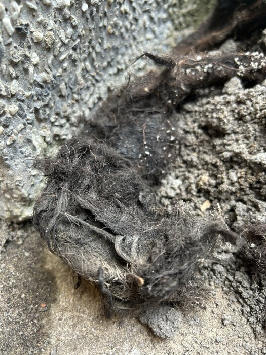 Mörk päls eller textil, sammanpressad mot grov yta, detaljerad struktur, nära fokus, naturlig ljussättning.