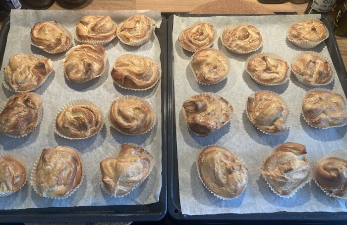 Två plåtar med nybakade bullar i pappersformar, ser hemgjorda och gyllenbruna ut.