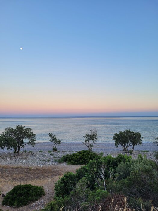 Solnedgång vid havet med träd, månen synlig, pastellfärgad himmel, lugn och fridfull atmosfär.