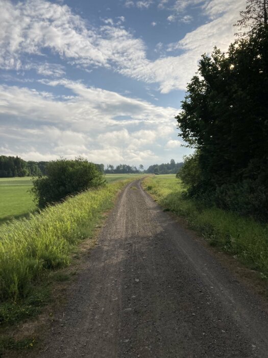 Grusväg genom gröna fält, träd, delvis molnig himmel, solstrålar, lugnt, naturskönt, landsbygd.