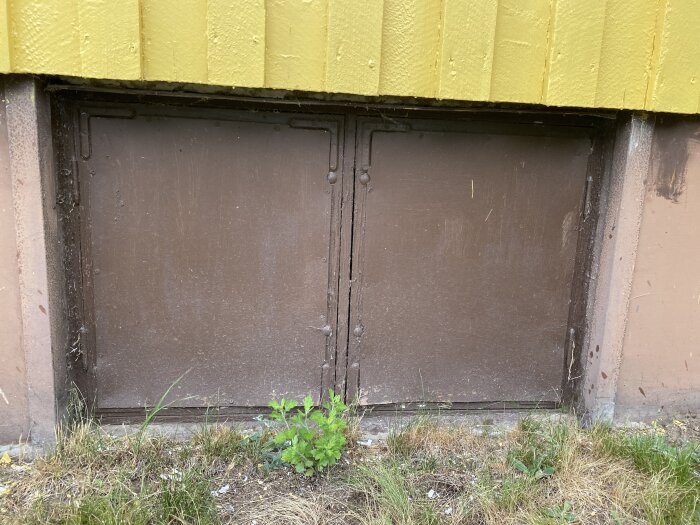 Gamla bruna dubbeldörrar i betongvägg, omringad av gult och slitet gräs.