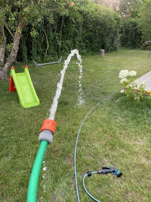 En trädgårdsslang med vattenstråle, grönt gräs, lekredskap, blommor och häck i bakgrunden.
