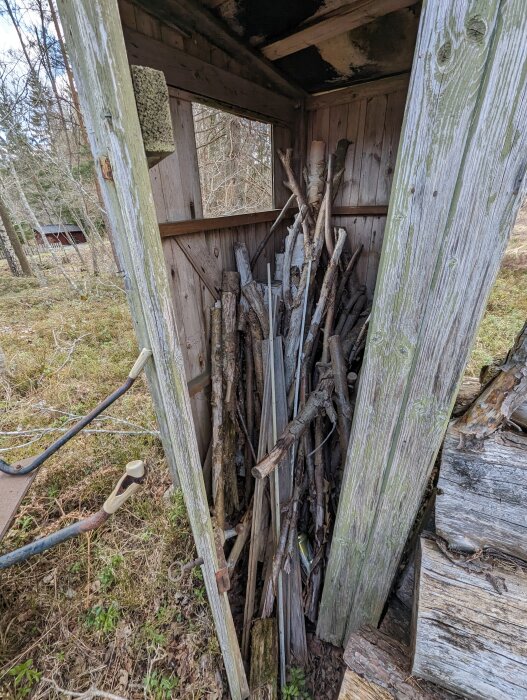 Förfallet vedskjul med staplad ved, grön mosig trästolpe, kratta, naturkuliss, grå himmel.