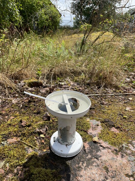 Ett övergivet, förfallet solur bland mossa och vegetation på en somrig dag.