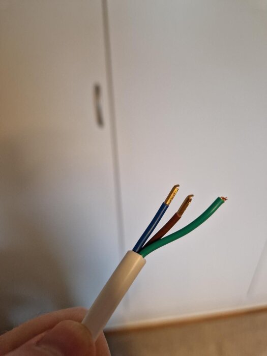 En hand håller en avskalad elektrisk kabel med exponerade, ofärgskilda trådar.