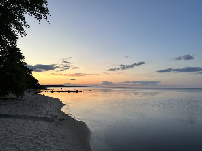 Strand vid solnedgång med lugnt vatten, himmel i pastellfärger och träd vid sidan.