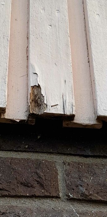 Närbild på fönsterbräda med skadad och flagande vit färg och underliggande trä synligt.