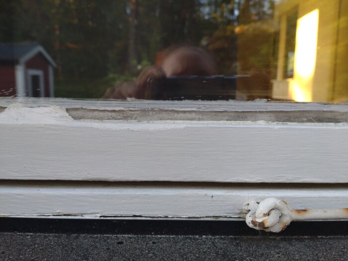 Fönsterkarm närbild, vit, spegling av person och interiör, träd och byggnad utomhus, ljusinsläpp, bedagat handtag.