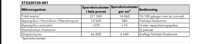 Tabell visar sporekvivalenter och bedömning av mikroorganismer i ett prov, inklusive total svamp och specifika mögelsläkten.