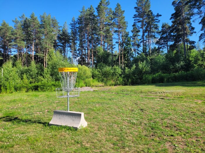 Discgolfkorg i en park, gräsmatta, träd, soligt, klart väder, utomhusaktivitet, ingen person synlig.