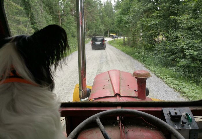 Hund tittar ut genom traktorfönster; grusväg, fordon, sommardag, gröna träd, landligt.