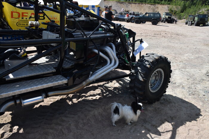 Offroad-fordon, stor däck, hund, grus, utomhus, dagtid, fordonståg, industriellt område, teknik, fritidsaktivitet.