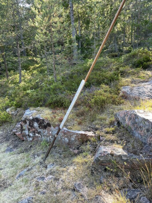 Skogsmark med stenar och växtlighet, lutande metallstång med trähandtag i naturen.